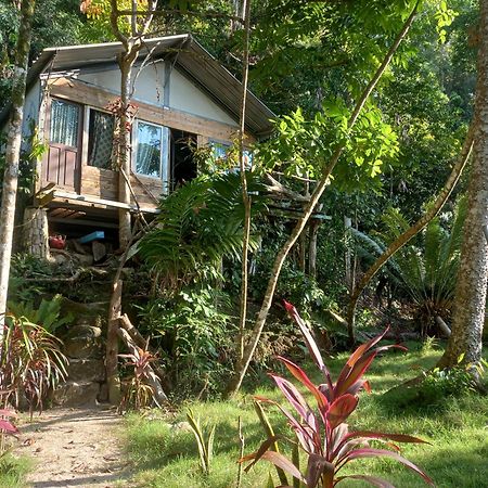 Sumatra Ecolodge Sungaipisang Экстерьер фото