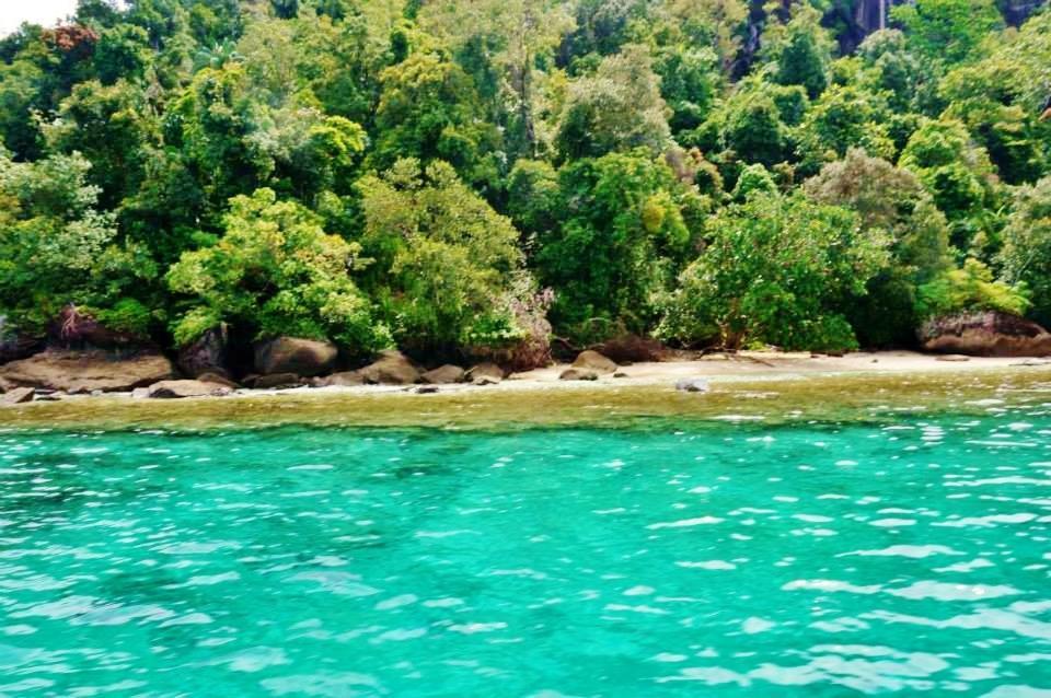 Sumatra Ecolodge Sungaipisang Экстерьер фото