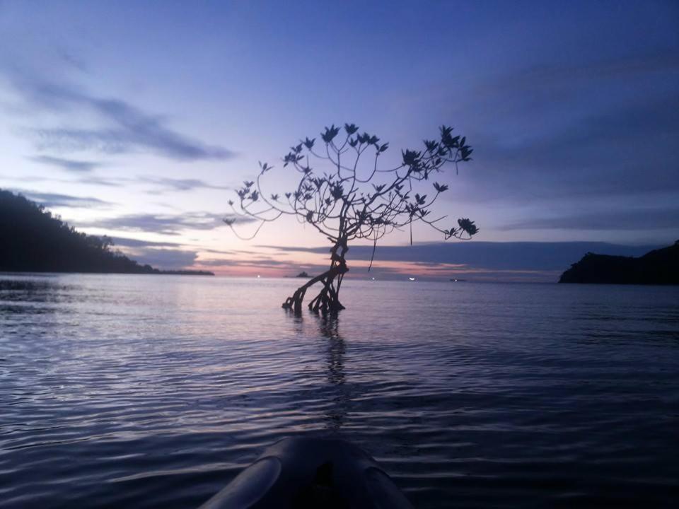 Sumatra Ecolodge Sungaipisang Экстерьер фото