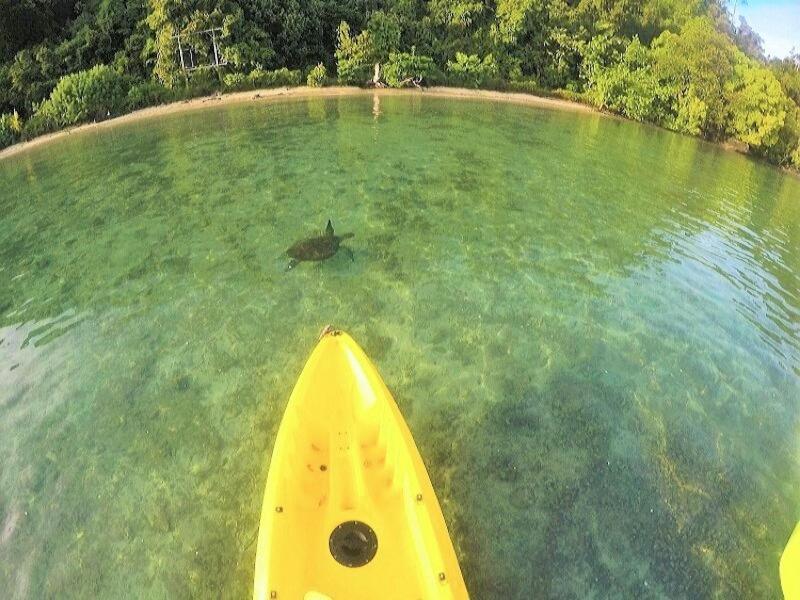 Sumatra Ecolodge Sungaipisang Экстерьер фото
