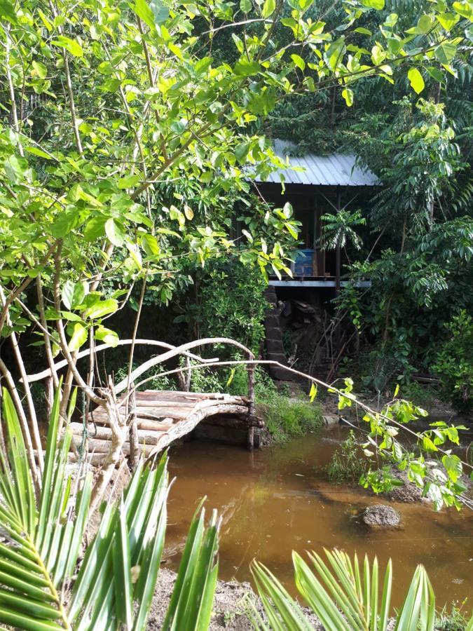 Sumatra Ecolodge Sungaipisang Экстерьер фото