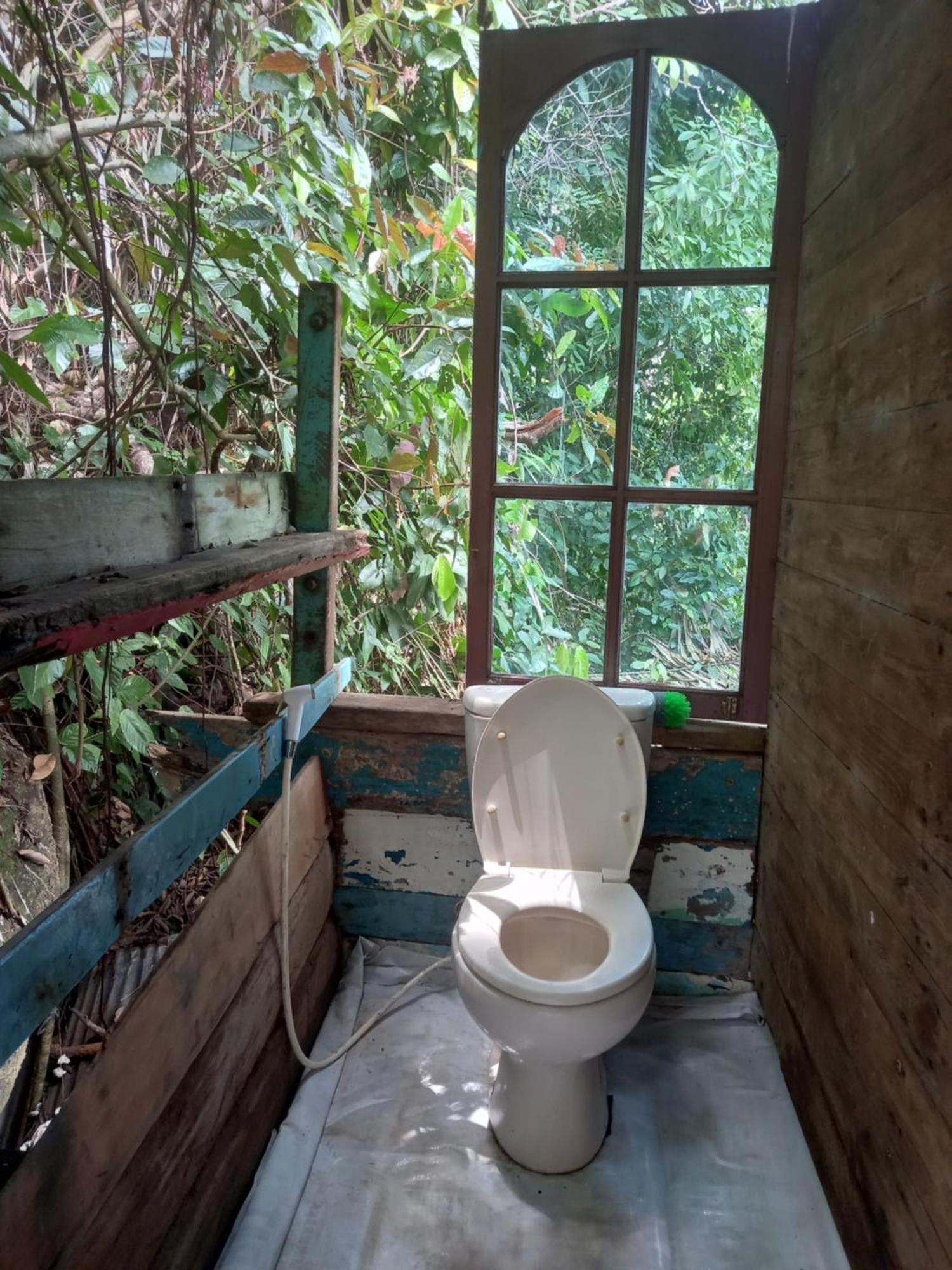 Sumatra Ecolodge Sungaipisang Номер фото