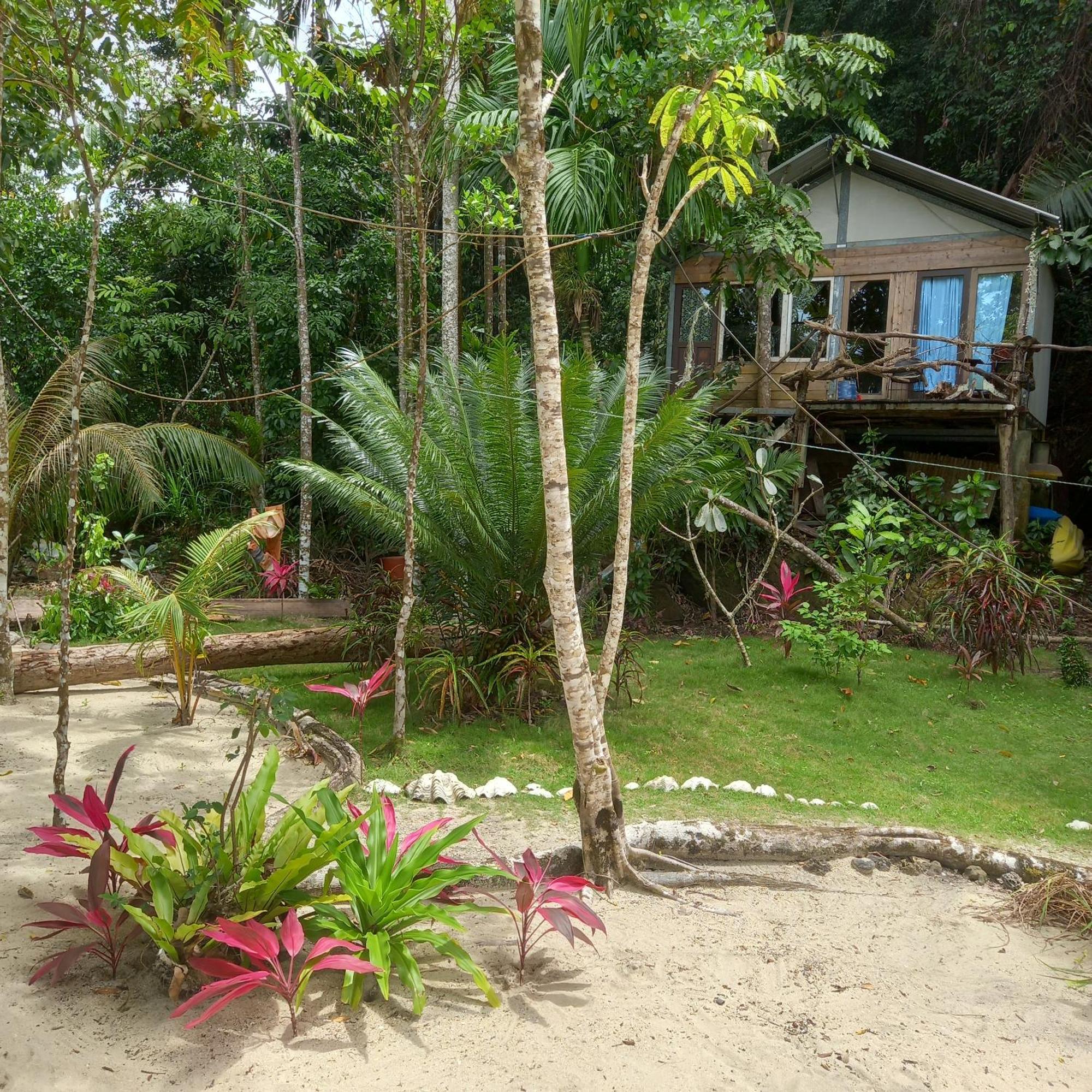 Sumatra Ecolodge Sungaipisang Номер фото